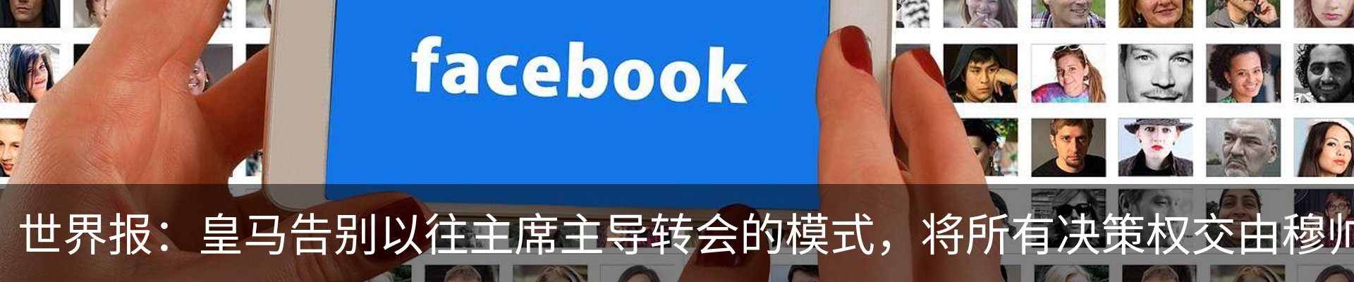 新闻动态
