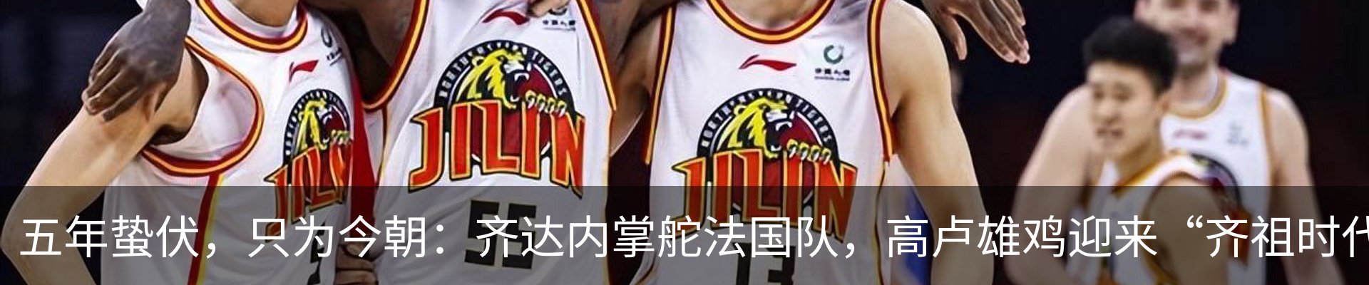 新闻动态