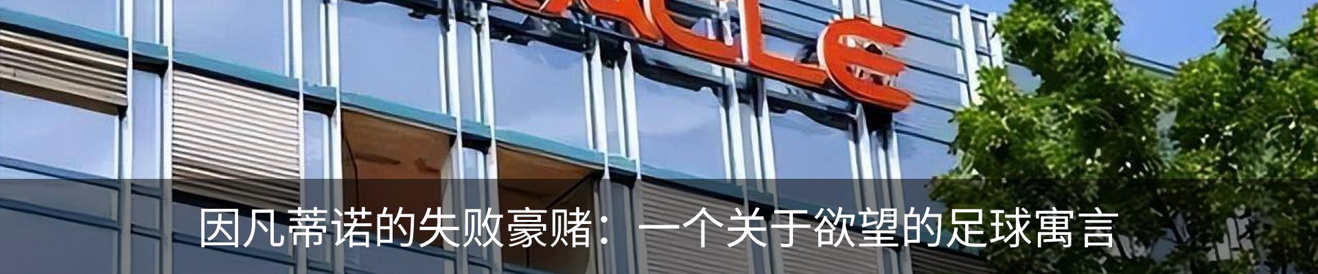 新闻动态