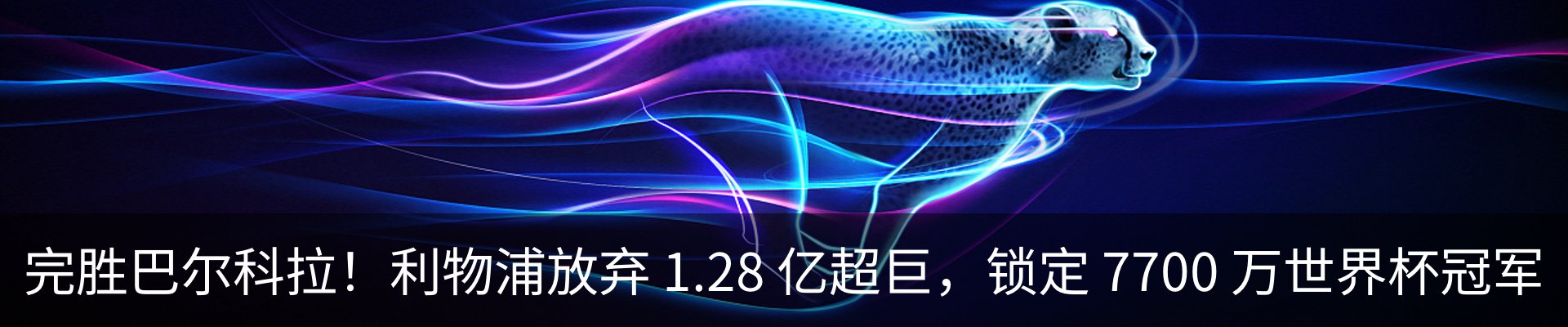 新闻动态