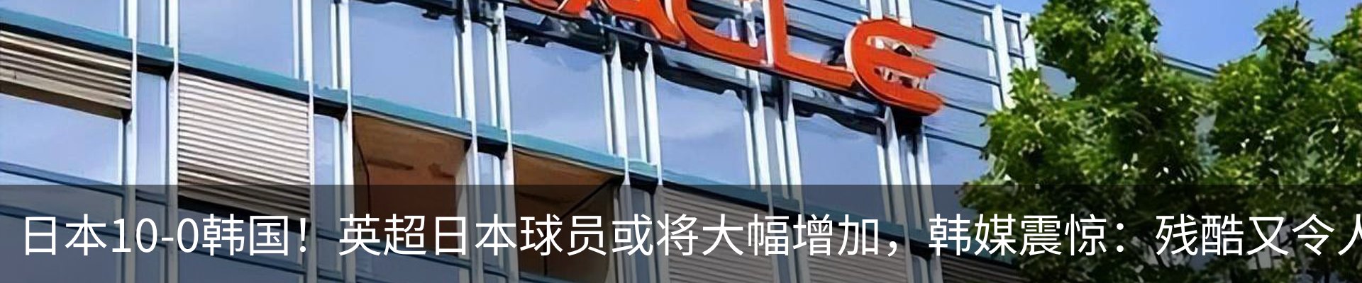 新闻动态