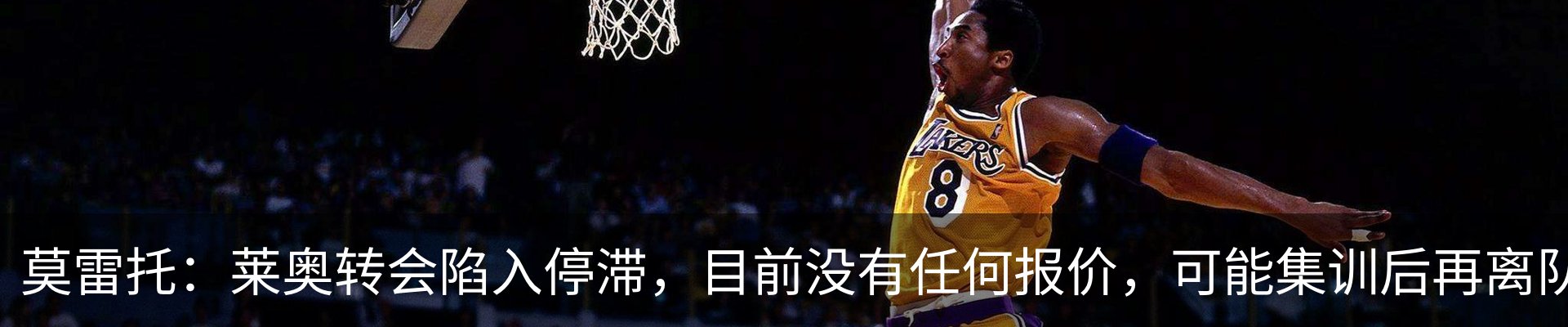 新闻动态