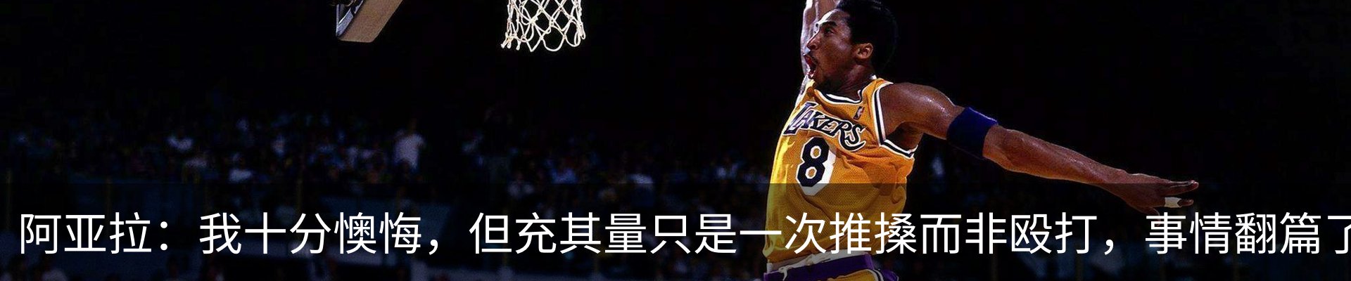 新闻动态