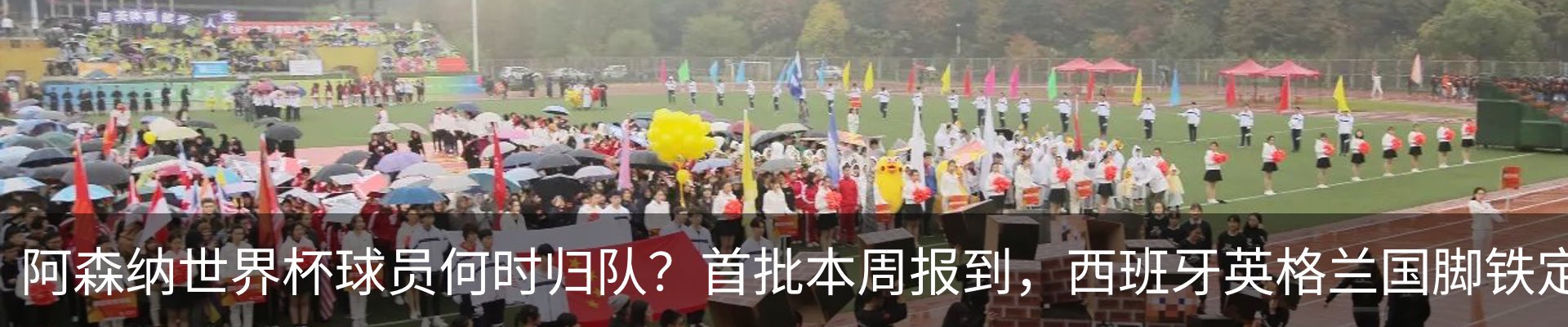新闻动态