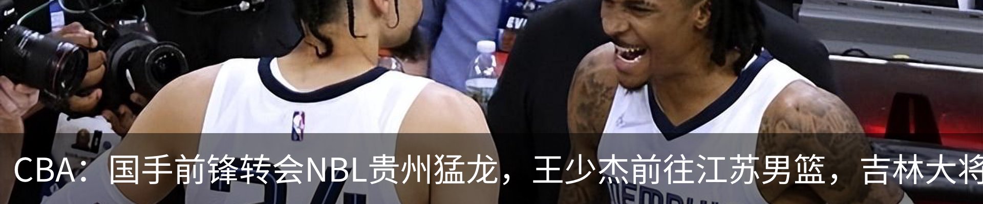 新闻动态